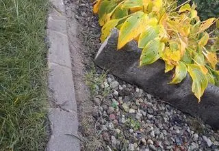 Dyscyplinarka za kostkę brukową. "Będzie pani człowiekiem i cofnie to"