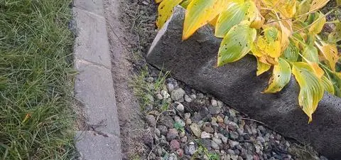 Dyscyplinarka za kostkę brukową. "Będzie pani człowiekiem i cofnie to"