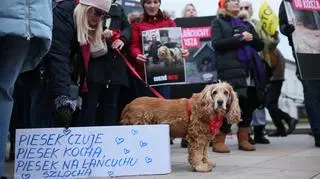 Uczestnicy Marszu dla Zwierząt