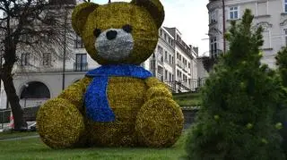 Miś na przemyskim rynku