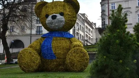 Miś na przemyskim rynku