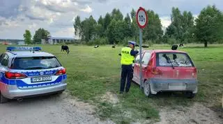 Chłopiec został zatrzymany po tym, jak wjechał na pastwisko
