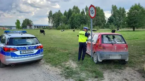 Chłopiec został zatrzymany po tym, jak wjechał na pastwisko