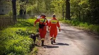 Nastolatków szukają przewodnicy z psami