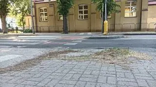 Do potrącenia dziecka doszło w Lęborku