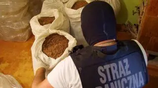 120 kg krajanki tytoniowej