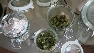 Plantacja marihuany znajdowała się w domu pięściarza