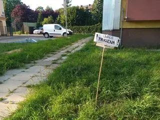 Ostrzeżenia przed trutką na psy na osiedlu w Jaworznie