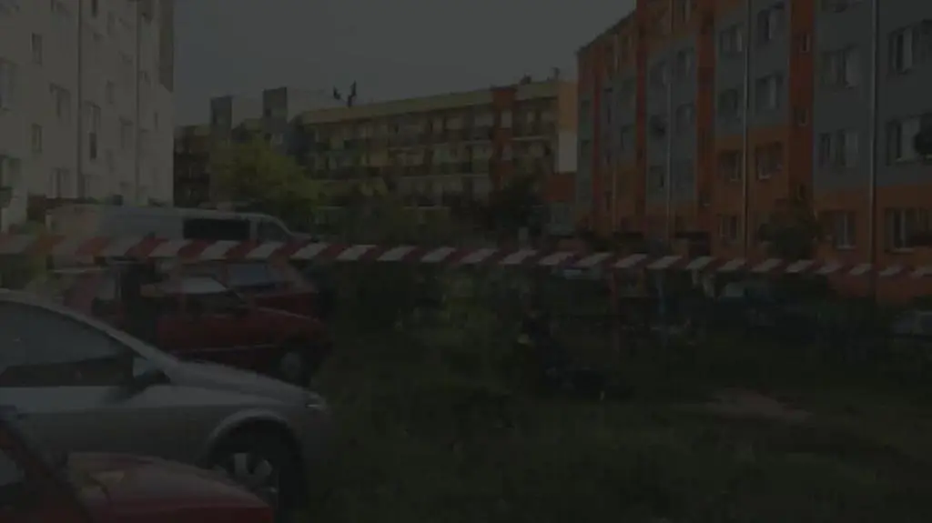 Dzik w piaskownicy na placu zabaw