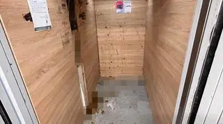fekalia piksel