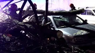 Drzewo przewróciło się na samochód w Świnoujściu