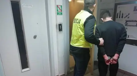 Została potrącona, jej ciało znaleziono w rowie. Prokuratura: mogła przeżyć, gdyby sprawca nie uciekł