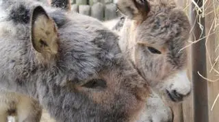 Gracja z mamą Malwiną 