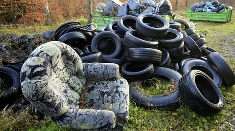 Starej lodówki nie przywiał wiatr, a gruz to nie skutek remontu w borsuczej norze