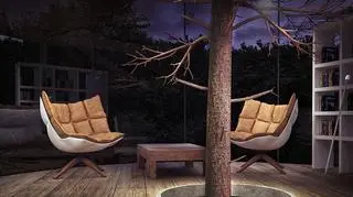 Szklany dom na drzewie