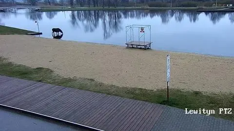 Najpierw kąpiel, potem plac zabaw. Łoś w oku kamery