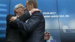 Wytyczne przyjęte w rekordowym tempie.  Tusk: muszę podkreślić wyjątkową jedność