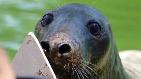 Nie żyje Sława z warszawskiego ZOO