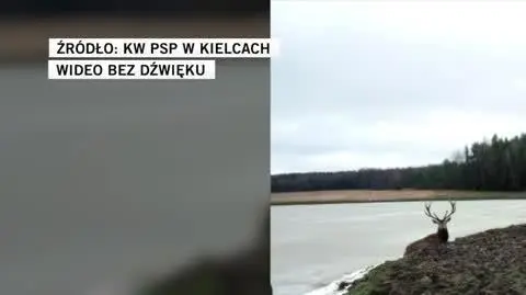 KW PSP w Kielcach