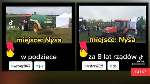 nysa-falsz