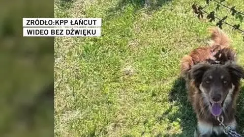 KPP Łańcut 