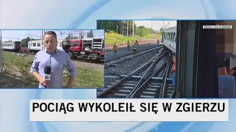 Pociąg wykoleił się niedaleko stacji w Zgierzu