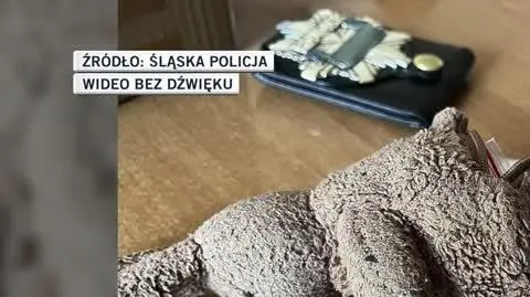 śląska policja