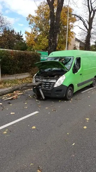 Wrocław - konar spadł na busa, ranny kierowca, wybita szyba