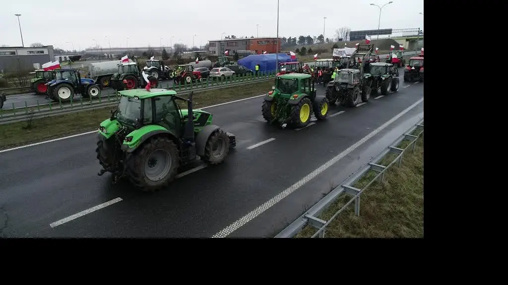 org_2f11a8e9af898a72_1710155752000