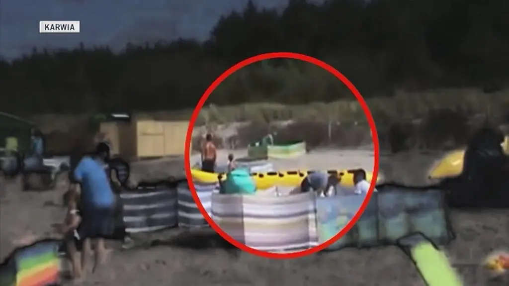 Dzik na plaży. "Nagle wypłynął, kilka osób staranował"