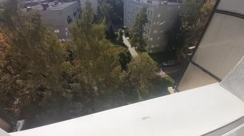 11-year-old alerts police about a baby at risk of falling out of the window