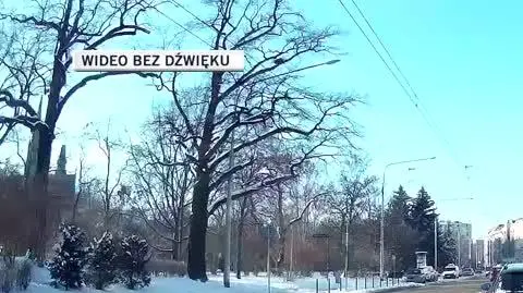 Pieszy na przejściuok
