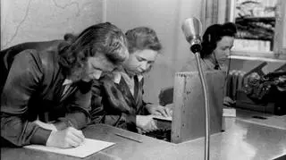 Szyfranki pracują na Enigmie