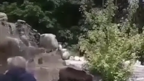 TVN24 Clean_20200523101040(13092)_aac