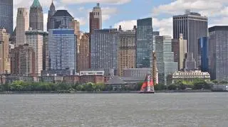 Safran na tle Manhattanu