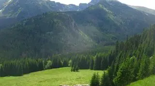 Kuźnice