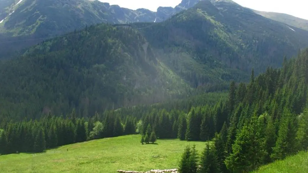 Kuźnice