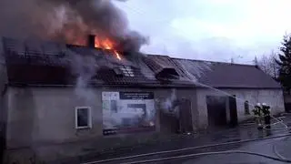 Z ogniem walczy 14 zastępów straży pożarnej