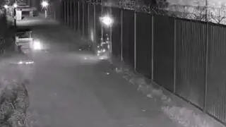 To płonące gałęzie 
