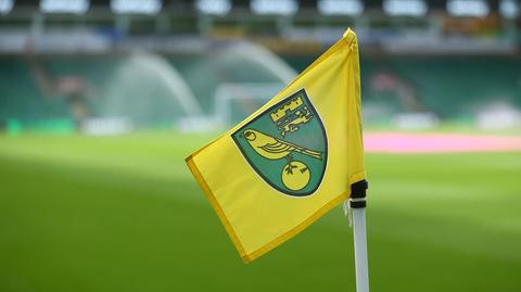 Koronawirus u piłkarza Premier League tuż przed wznowieniem sezonu