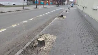 Tak wygląda obecnie ulica Hallera