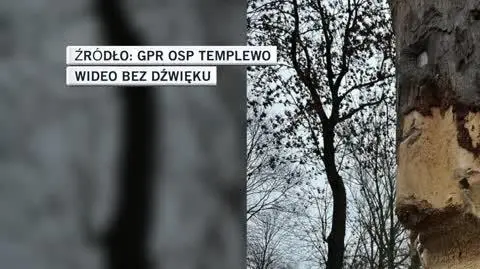 GPR OSP Templewo