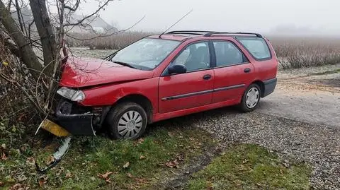15-latek wziął samochód rodziców i z kolegami pojechał na przejażdżkę. Uderzyli w drzewo