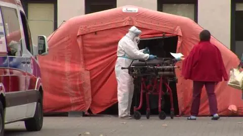 0910N395XRR PIS DNZ PIESTRZYNSKA