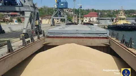 Agriculture minister: EU to extend ban on Ukrainian food exports until September