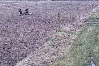 Mężczyźni nielegalnie przekroczyli granicę