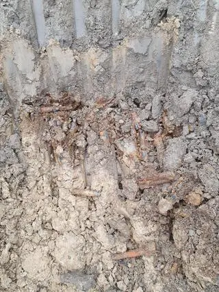700 sztuk amunicji znaleziono w Wieliczce pod Krakowem