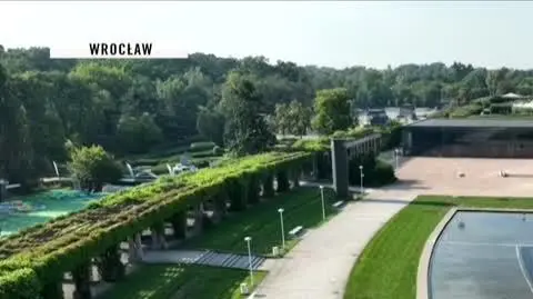 debiuty nik