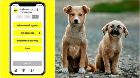 Trwa pierwszy etap testów aplikacji