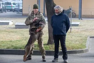 Psy pojadą do Ukrainy pomagać wojsku